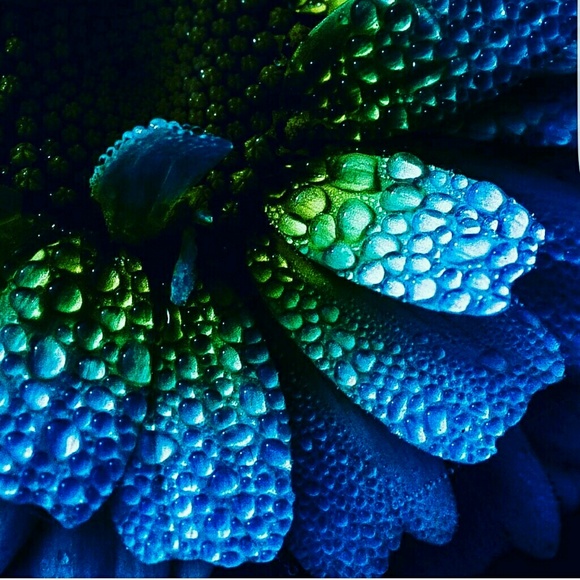 Meet your Posher, Charlene - Picture 1 of 1